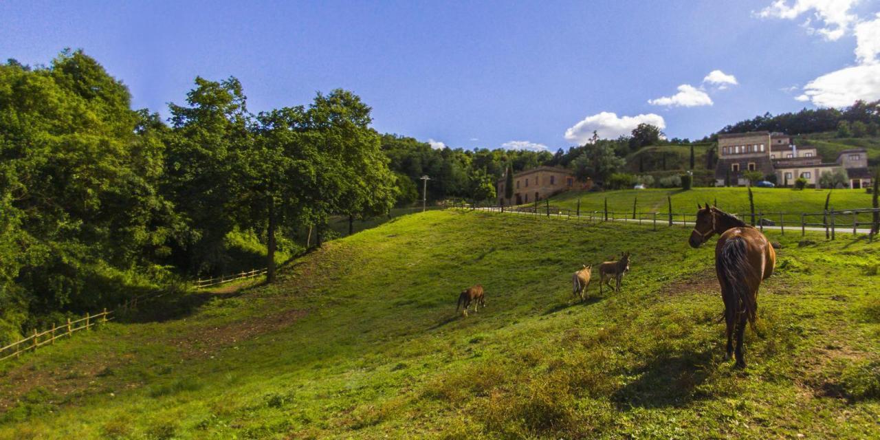 Agriturismo Rio Coverino Borghetto  Eksteriør bilde